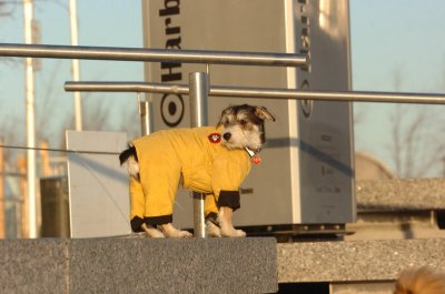 Feb9_07_332.JPG