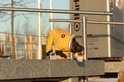 Feb9_07_333.JPG