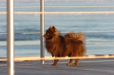 Feb9_07_340.JPG