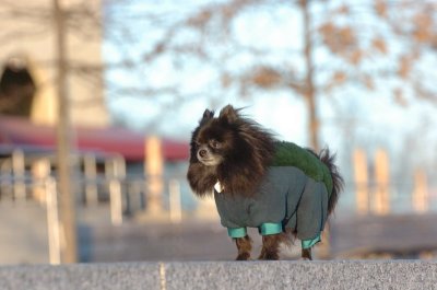 Feb9_07_353.JPG
