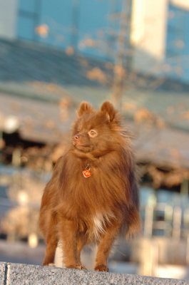 Feb9_07_354.JPG