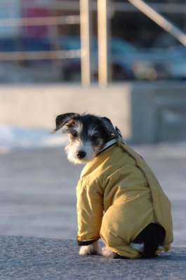 Feb9_07_356.JPG
