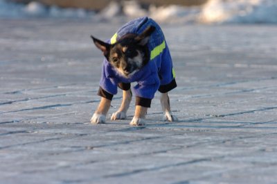 Feb9_07_358.JPG