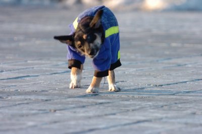 Feb9_07_359.JPG