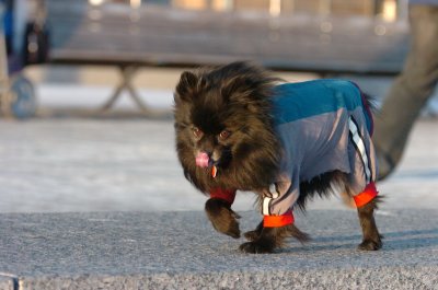 Feb9_07_365.JPG