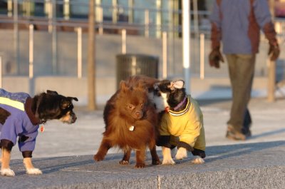 Feb9_07_366.JPG