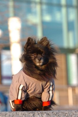 Feb9_07_373.JPG