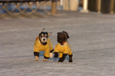 Feb9_07_377.JPG