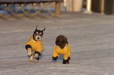 Feb9_07_378.JPG