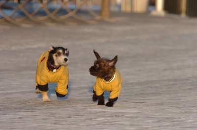Feb9_07_379.JPG