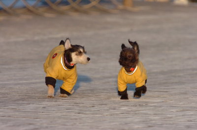 Feb9_07_380.JPG