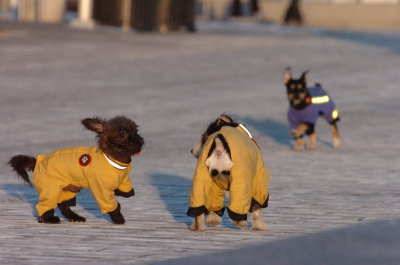 Feb9_07_381.JPG