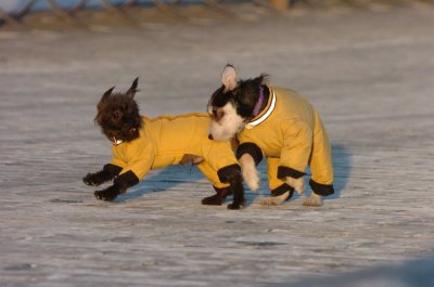 Feb9_07_382.JPG