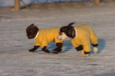 Feb9_07_383.JPG