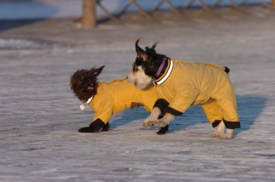 Feb9_07_384.JPG