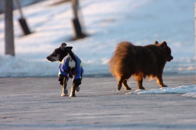 Feb9_07_385.JPG