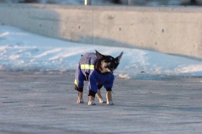 Feb9_07_386.JPG