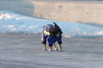 Feb9_07_387.JPG