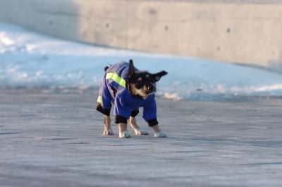 Feb9_07_388.JPG