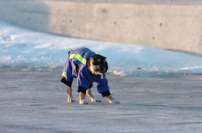 Feb9_07_389.JPG