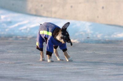 Feb9_07_390.JPG