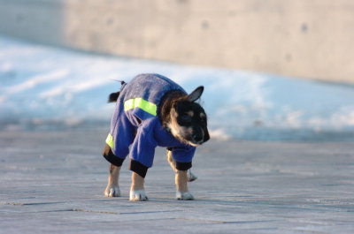 Feb9_07_391.JPG