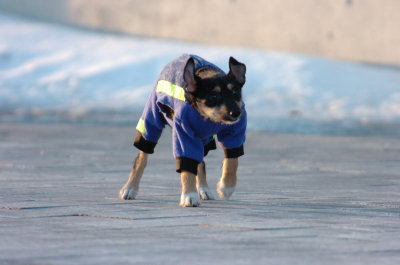 Feb9_07_392.JPG