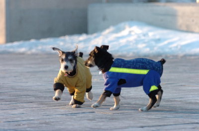 Feb9_07_393.JPG