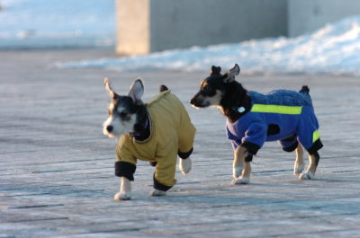 Feb9_07_394.JPG