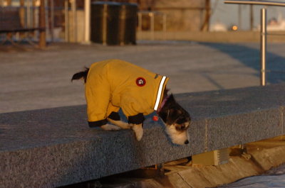 Feb9_07_408.JPG