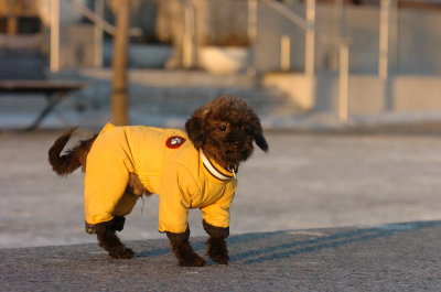 Feb9_07_412.JPG