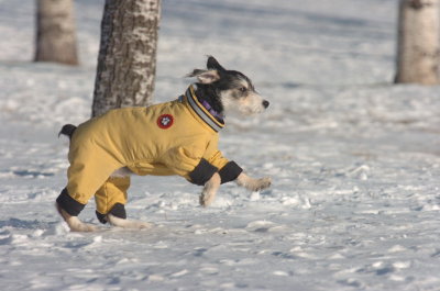 Feb9_07_146.JPG