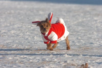 Feb9_07_168.JPG