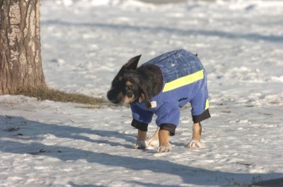 Feb9_07_170.JPG