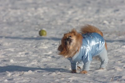 Feb9_07_172.JPG