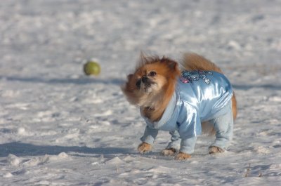 Feb9_07_173.JPG