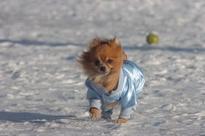 Feb9_07_175.JPG