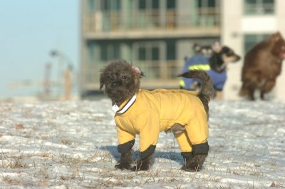Feb9_07_176.JPG