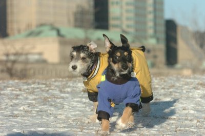Feb9_07_177.JPG