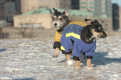 Feb9_07_178.JPG