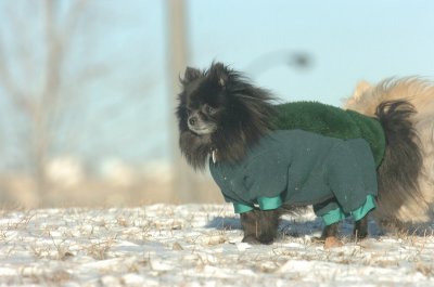 Feb9_07_180.JPG