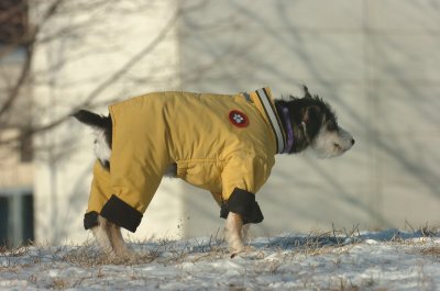 Feb9_07_181.JPG