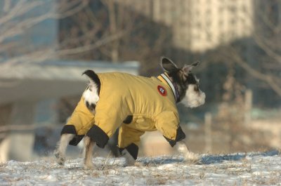 Feb9_07_183.JPG