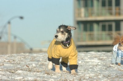 Feb9_07_187.JPG
