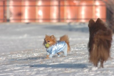 Feb9_07_188.JPG