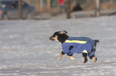 Feb9_07_193.JPG