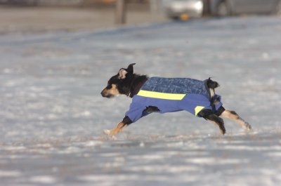 Feb9_07_194.JPG