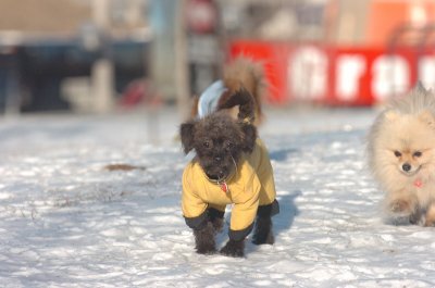 Feb9_07_195.JPG