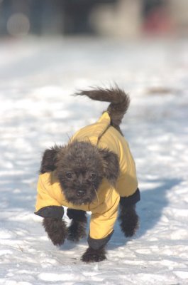 Feb9_07_197.JPG