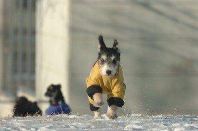 Feb9_07_198.JPG